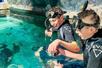 Two young boy in black scuba gear smiling and sitting in light blue water and feeding the aquatic life at SeaQuest.
