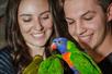 SeaQuest Aquarium Love Birds Holding Parrots