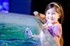 SeaQuest Aquarium Stingray Touch Tank