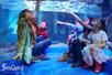 A group of children sitting in glass box under an aquarium tank full of fish smiling with their arms pointed up.