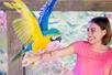 A young girl in a pink shirt smiling with her arm out and a blue and yellow macaw landing on it at SeaQuest.