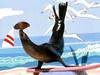 Kolohekai Sea Lion Show --- Sea lions delight guests with their humorous antics. It’s an enjoyable time for the whole family!