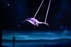 Mickey Gilley Grand Shanghai Theatre acrobatics show.