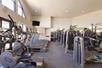 A large fitness center with several different pieces of cardio and weight equipment and a wall of windows on the left side.