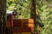A red train engine car with the number 64 on it driving through a thick forest with Skunk Train in San Francisco, California, USA.
