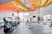 A large fitness center with several pieces of cardio equipment and a large weights area in a room with an orange accent wall and large windows.