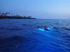 Manta ray night snorkel - Sunset Cruise and Night Manta Swim in Kailua-Kona, Hawaii