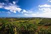 View looking over Gunstock Ranch on a sunny day on Oahu - Kahuku, HI