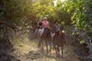 Two riders and a guide on horseback riding  along a mountain trail