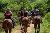 Guests riding horses on a sunny day at Gunstock Ranch Horseback Rides in Oahu - Kahuku, HI