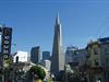 San Francisco City Skyline - Super Saver by Day Tour - City Tour & Redwoods Visit in San Francisco, California