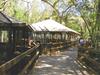 Walk along the boardwalk to see all the animals at Homosassa's State Park