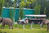 A bus of full of guests on the Expedition Wild Africa Safari looking at the elephants in their habitat at ZooTampa.