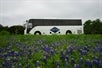 Texas Hill Country and LBJ Ranch Experience - From San Antonio: Bluebonnets