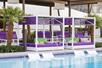 An outdoor pool with white lounge chairs in the water and cabanas with bright purple cushions along the side.