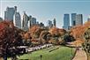 The Essential Central Park Guided Walking Tour with Babylon Tours in New York, NY