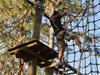 Traverse thru hanging bridges, ropes course, and more at TreeUmph! Adventure Course