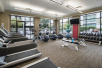 Fitness center with treadmills, elliptical trainers, and free weights.