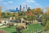 Indianapolis Zoo - Visit Indy Attraction Pass