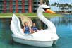 Swan paddle boat at Walt Disney World Swan.