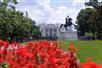 A view of the White House with red flowers in the foreground.