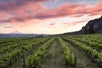 Cascade Cliffs Vineyard and Winery - Passport to Taste 2022
