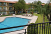 Outdoor pool view at Wyndham Houston near NRG Park - Medical Center, Houston, TX. 