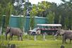 Expedition Wild Africa Safari ride at ZooTampa in Tampa, Florida.