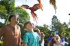 Guests enjoyint the Macaw Flyover at ZooTampa in Tampa, Florida.