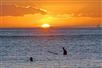 "Sunset Glow" Waikiki Tour- Discover Waikiki's beauty, history, and unique culture on the best tour of Waikiki at sunset!