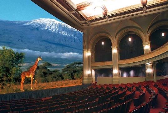 An empty theatre with a giraffe on stage at the American Museum of Natural History in NYC, New York.