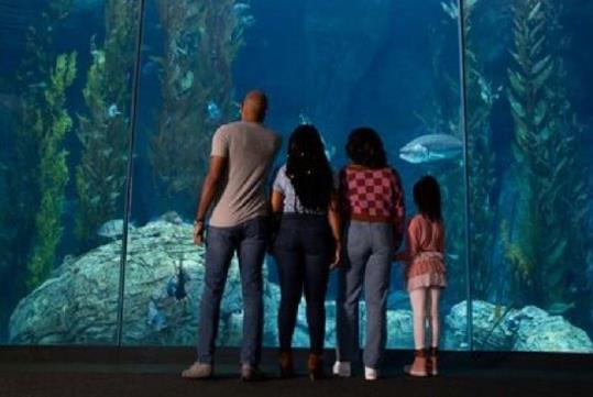 A family of four looking into a giant tank with lots of fish, rocks, and aquatic plants at the Aquarium of the Pacific in Long Beach, California.