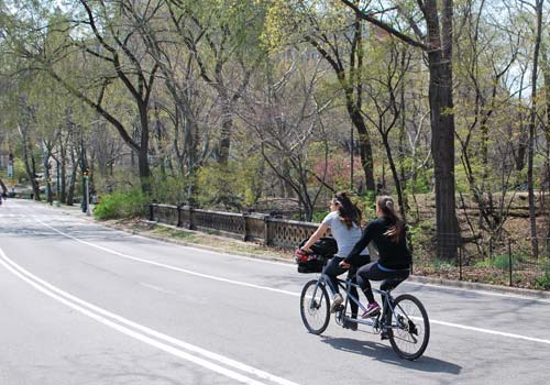 Central Park Bike Rentals in New York, New York
