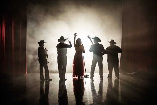 View of the back of Dalena Ditto and her band while they are on stand performing with a bright light and fog in front of them.