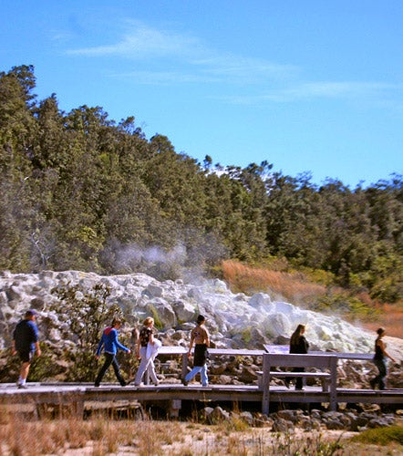 Steam Vents