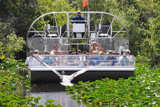 Everglades Airboat Adventure Tour by Gray Line Miami
