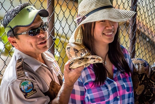 Python at Everglades Safari Park 