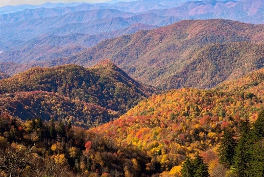 Explore The Blue Ridge Mountains: Private Day Trip from Asheville