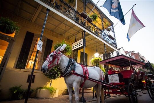 French Quarter Carriage Tours in New Orleans, LA