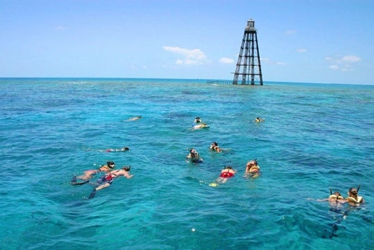 A group of tour participants snorkeling with Fury Water Adventure in Key West, Florida.
