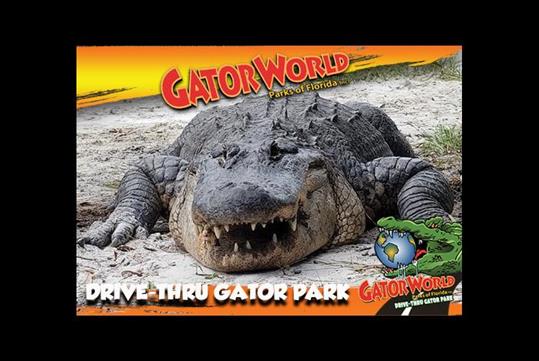 Drive thru gator park just one hour away from Orlando!
