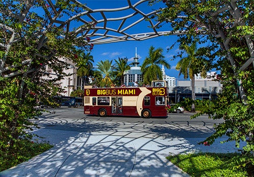 Big Bus Tour in Miami - Go Miami® Pass in Miami, Florida