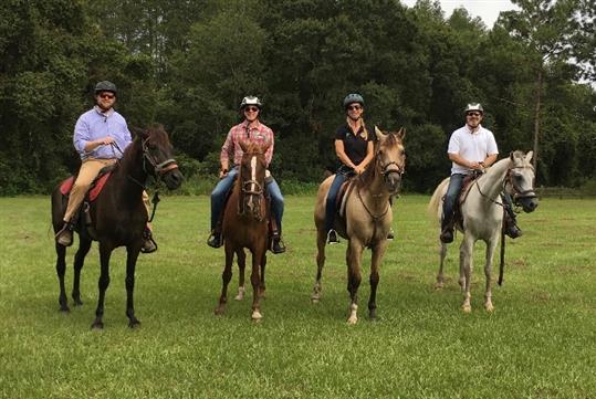 Group ride on friendly horses. - Guided Horseback Trail Ride in Clermont, FL