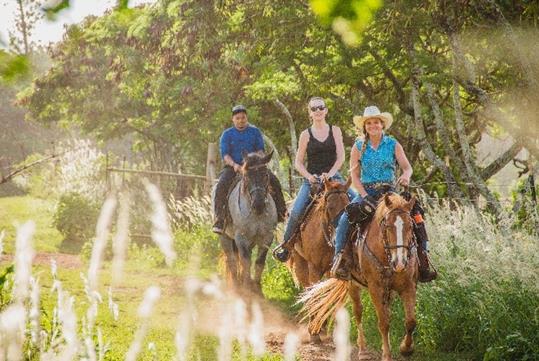 Gunstock Ranch Horseback Rides Oahu - Kahuku, HI