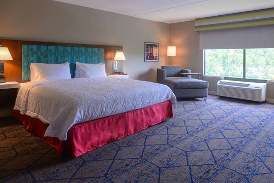 1 King Bed at Hampton Inn & Suites Atlanta-Six Flags.