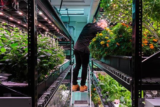 Come see what we've got growing!-  Hydroponic Farm Tour & Tasting at Farm.One in New York, NY
