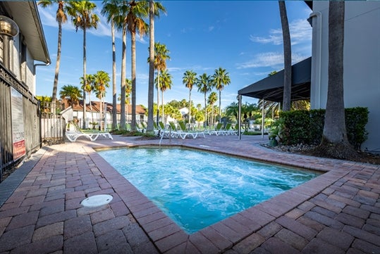 Large hot tub and tall palm trees surrounding the pool area.