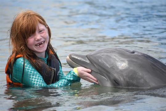 Marineland Dolphin Adventure