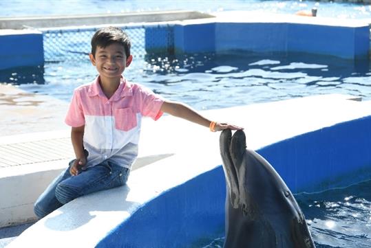 Meet and Greet Experience  Marineland Dolphin Adventure