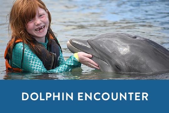 St. Augustine: Marineland Dolphin Meet & Greet